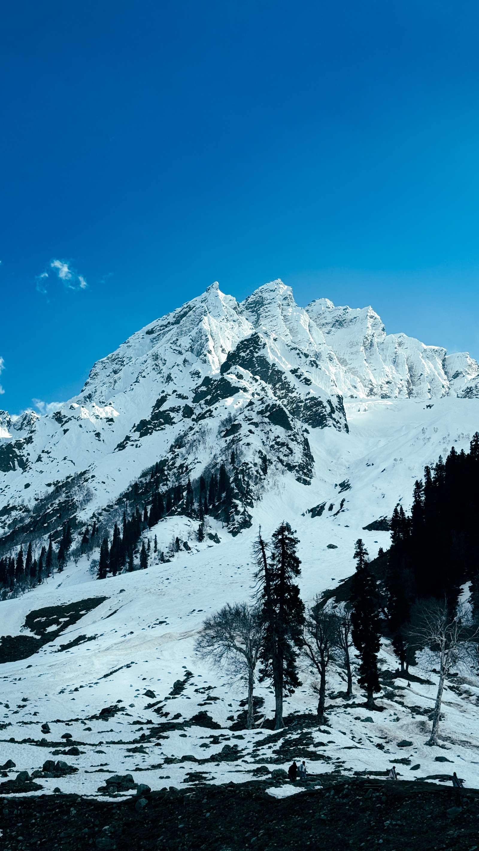 Kashmir 5 nights 6 days valley tour package