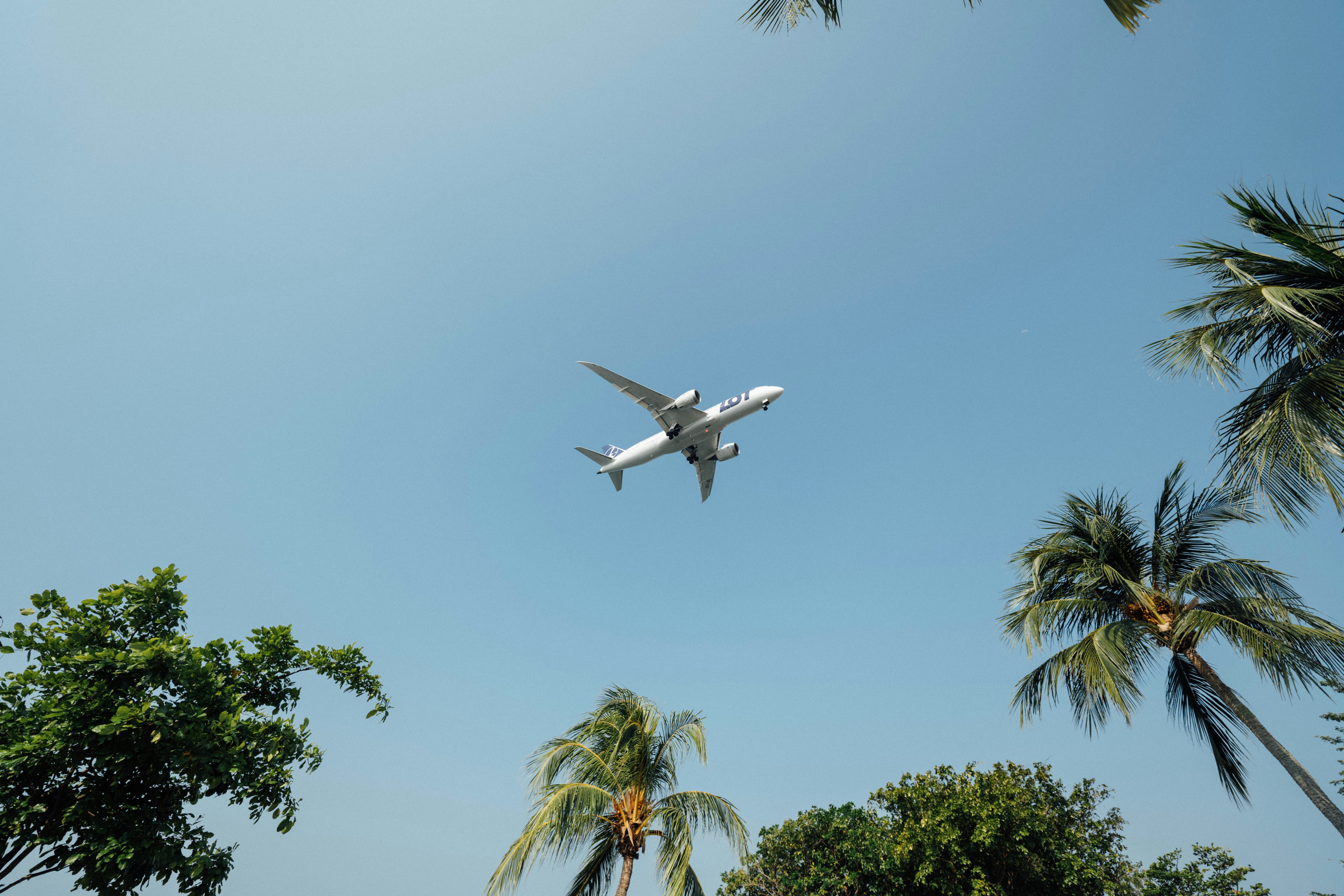 Flight booking and arrival planning